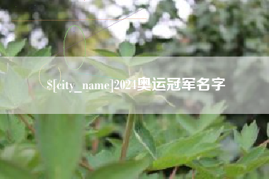 桐乡2024奥运冠军名字