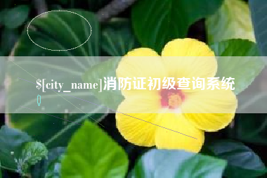 桐乡消防证初级查询系统