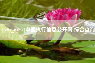 桐乡中国执行信息公开网 综合查询