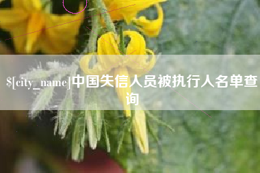 桐乡中国失信人员被执行人名单查询
