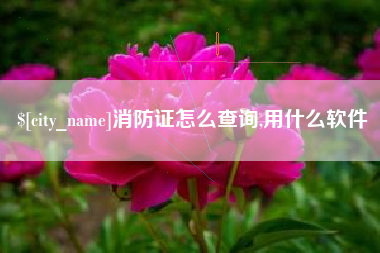 桐乡消防证怎么查询,用什么软件