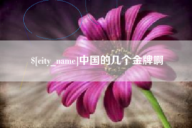 桐乡中国的几个金牌啊