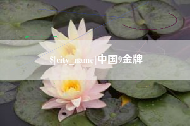 桐乡中国9金牌