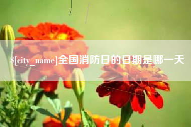 桐乡全国消防日的日期是哪一天