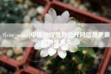 桐乡中国执行信息公开网信息更新时间是多久