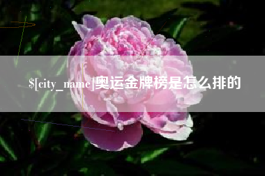 桐乡奥运金牌榜是怎么排的