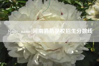 桐乡河南消防学校招生分数线