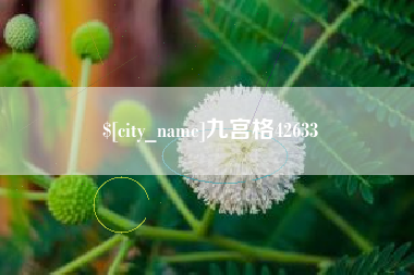 桐乡九宫格42633