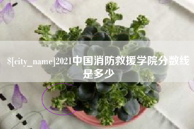 桐乡2021中国消防救援学院分数线是多少