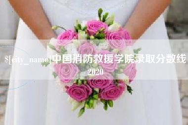 桐乡中国消防救援学院录取分数线2020