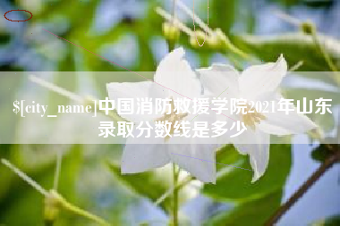 桐乡中国消防救援学院2021年山东录取分数线是多少