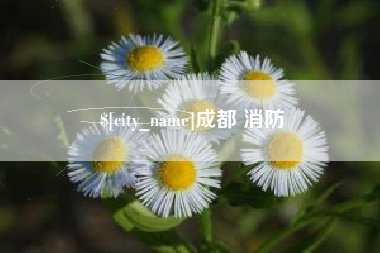 桐乡成都 消防