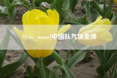 桐乡中国队九块金牌