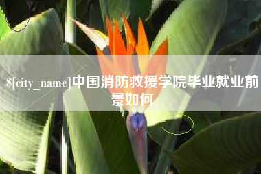 桐乡中国消防救援学院毕业就业前景如何