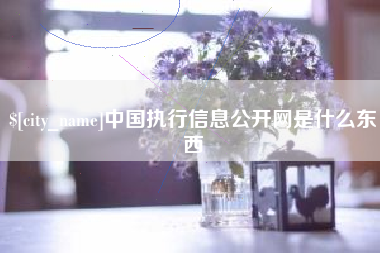桐乡中国执行信息公开网是什么东西