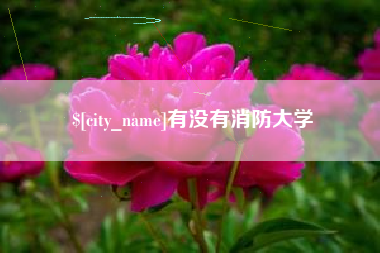 桐乡有没有消防大学