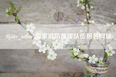 桐乡国家消防救援队伍报名网址