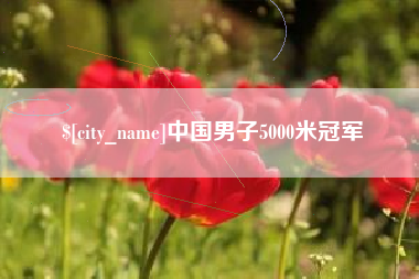 桐乡中国男子5000米冠军
