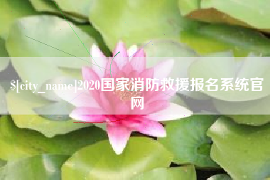 桐乡2020国家消防救援报名系统官网