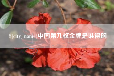 桐乡中国第九枚金牌是谁得的
