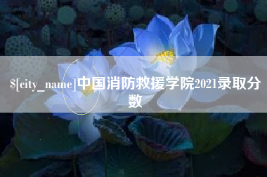 桐乡中国消防救援学院2021录取分数