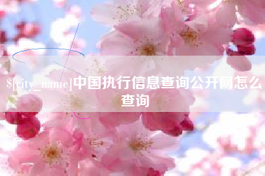 桐乡中国执行信息查询公开网怎么查询
