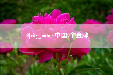桐乡中国9个金牌