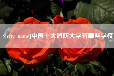 桐乡中国十大消防大学有哪些学校