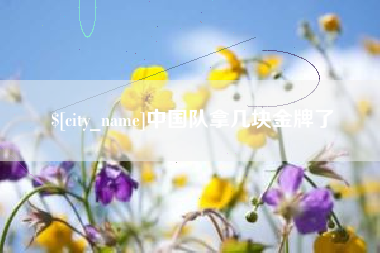 桐乡中国队拿几块金牌了
