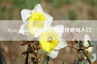 桐乡中国执行网公开查询入口