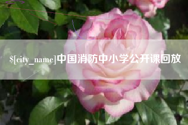 桐乡中国消防中小学公开课回放