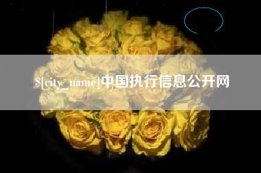 桐乡中国执行信息公开网