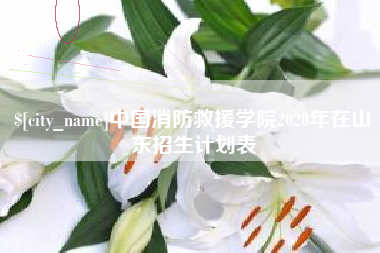 桐乡中国消防救援学院2020年在山东招生计划表