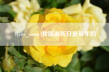 桐乡我国消防日是每年的