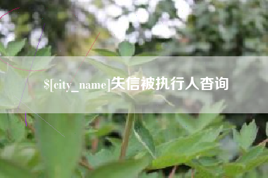 桐乡失信被执行人杳询