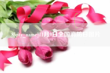 桐乡11月9日全国消防日图片