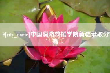 桐乡中国消防救援学院新疆录取分数