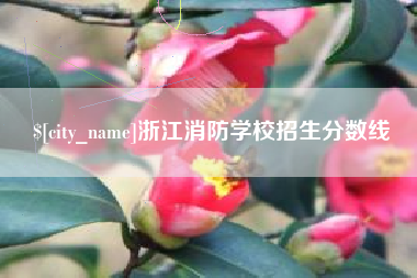 桐乡浙江消防学校招生分数线