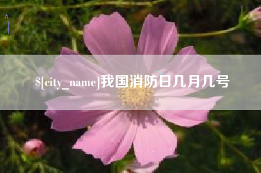 桐乡我国消防日几月几号