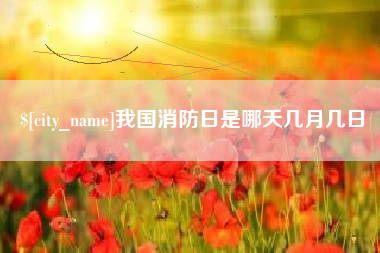 桐乡我国消防日是哪天几月几日
