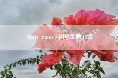 桐乡中国金牌18金
