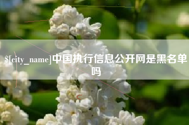 桐乡中国执行信息公开网是黑名单吗