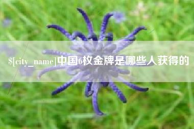 桐乡中国6枚金牌是哪些人获得的