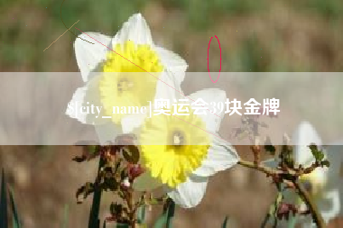 桐乡奥运会39块金牌