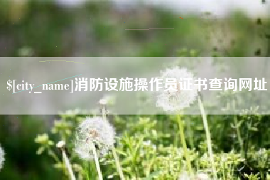 桐乡消防设施操作员证书查询网址