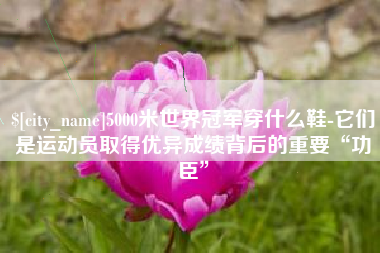 桐乡5000米世界冠军穿什么鞋-它们是运动员取得优异成绩背后的重要“功臣”