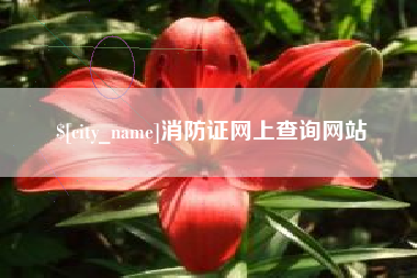 桐乡消防证网上查询网站
