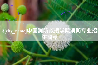 桐乡中国消防救援学院消防专业招生简章