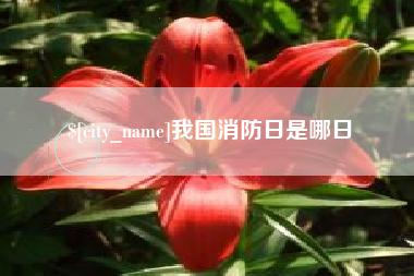 桐乡我国消防日是哪日