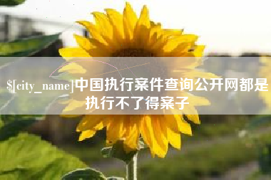 桐乡中国执行案件查询公开网都是执行不了得案子